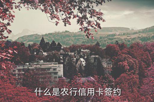 什么是农行信用卡签约