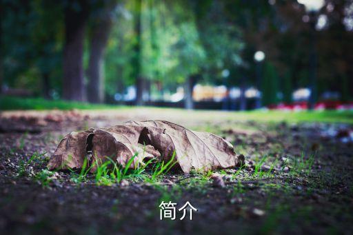 简介