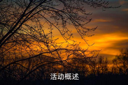 活动概述