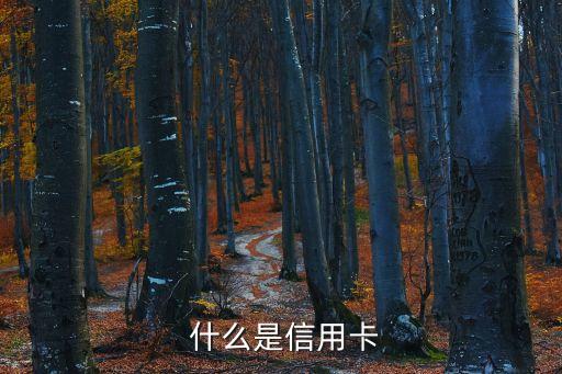 什么是信用卡