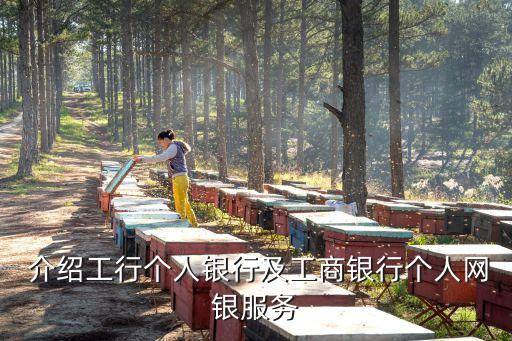 介绍工行个人银行及工商银行个人网银服务