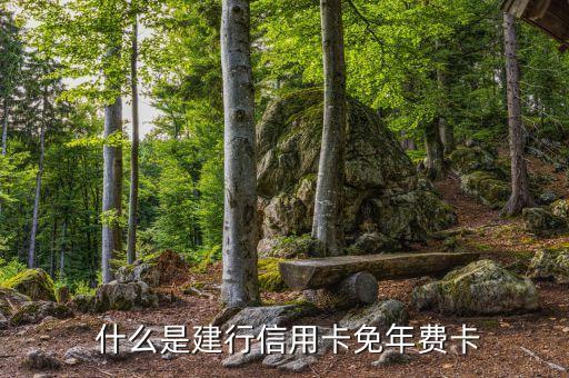 什么是建行信用卡免年费卡