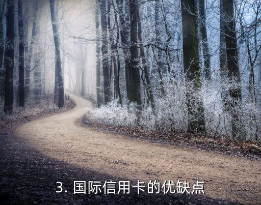 啥是国际信用卡，国际信用卡是什么？详细介绍国际信用卡的使用和优缺点