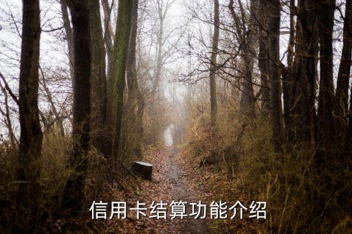 信用卡结算功能介绍