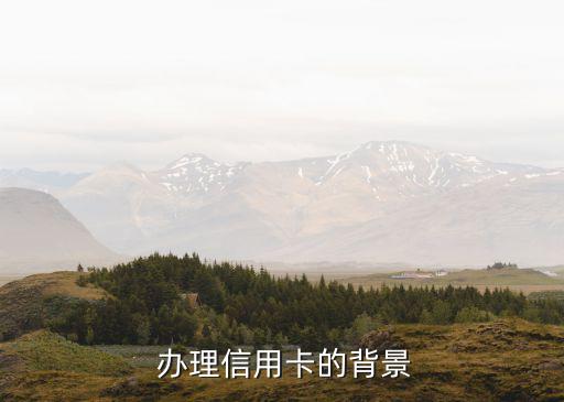 办理信用卡的背景
