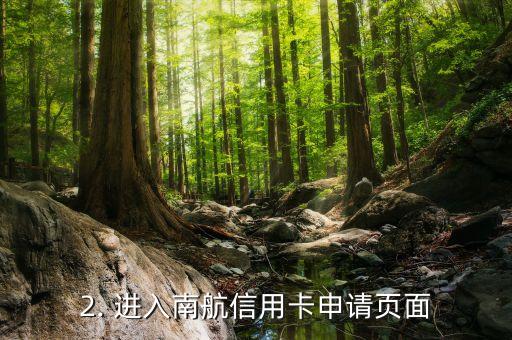 南航如何办理信用卡，南航信用卡办理操作指南
