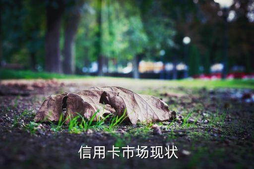 信用卡市场现状