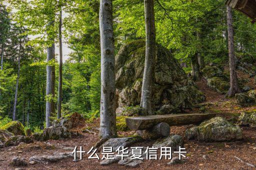 什么是华夏信用卡