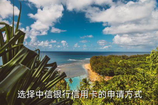 选择中信银行信用卡的申请方式