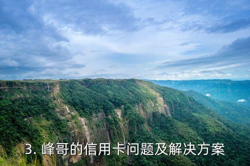 峰哥信用卡，峰哥的信用卡问题