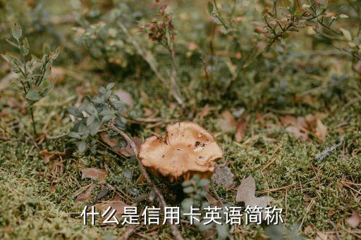 什么是信用卡英语简称