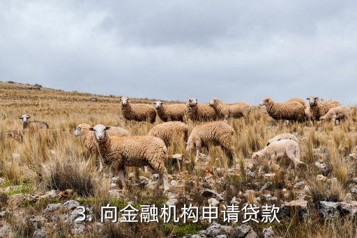 哪里有钱还信用卡，有哪些地方能够解决信用卡欠款的问题？