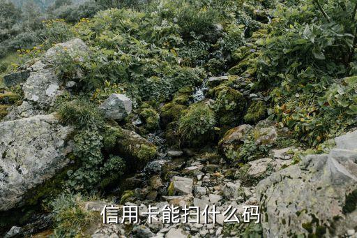 信用卡能扫什么码