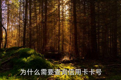 为什么需要查询信用卡卡号