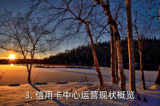 信用卡中心现状，信用卡中心运营现状概览