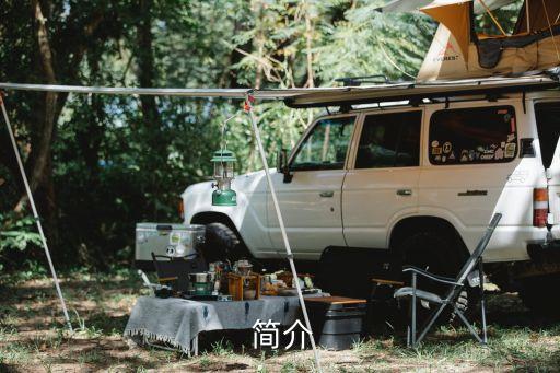 简介