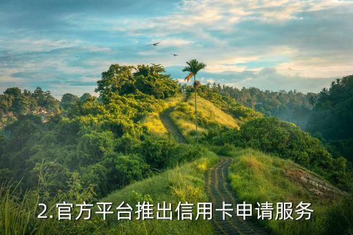官方平台办信用卡，官方平台推出信用卡申请服务