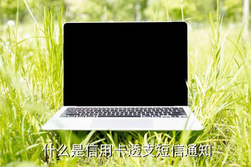 什么是信用卡透支短信通知