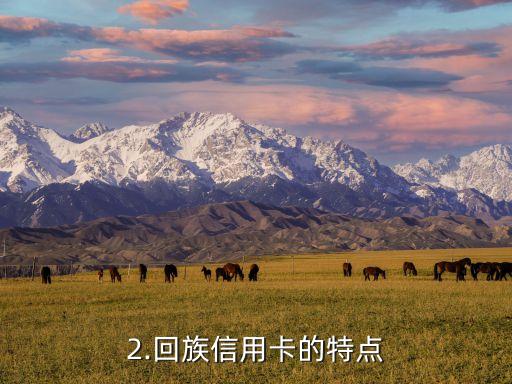 回族信用卡，回族人的信用卡：重构标题