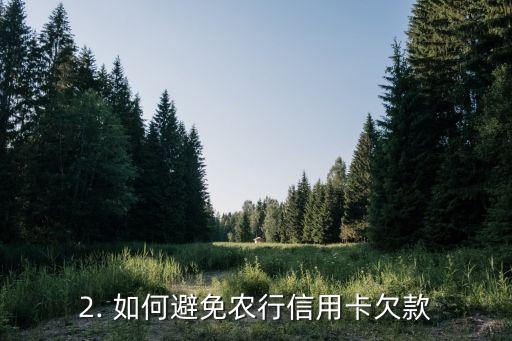 农行信用卡欠款查询，农行信用卡欠款查询方法