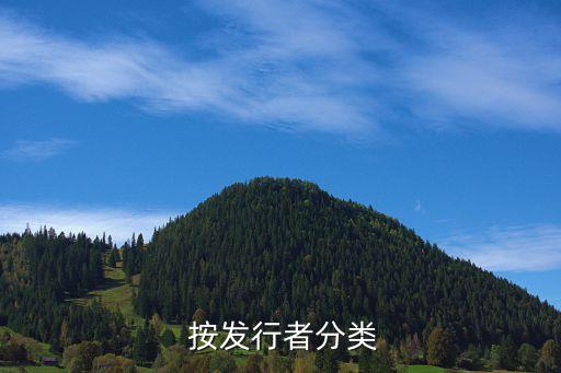 按发行者分类