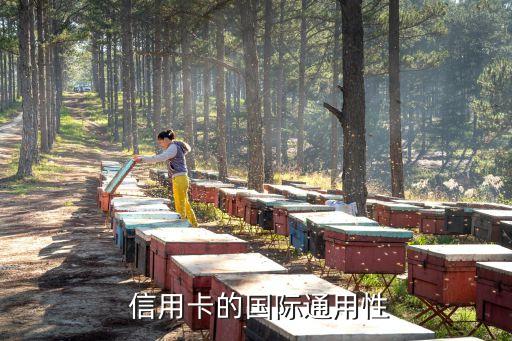 信用卡的国际通用性