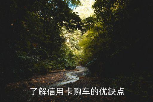 了解信用卡购车的优缺点