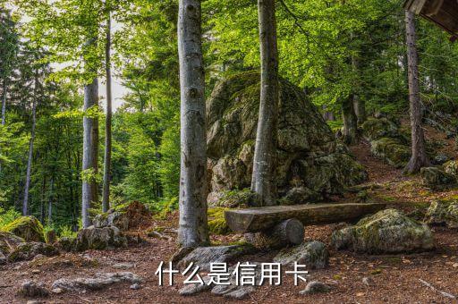 什么是信用卡