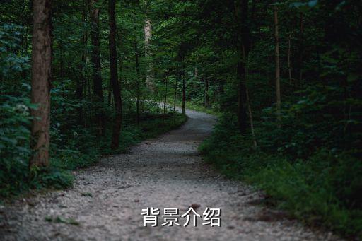 背景介绍