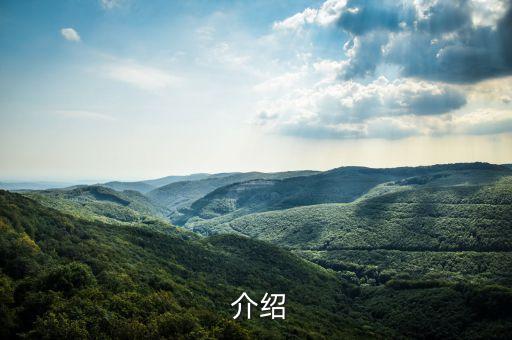 介绍