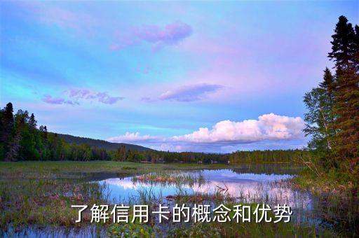 了解信用卡的概念和优势