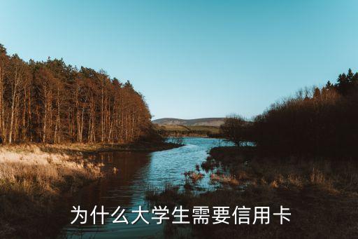 为什么大学生需要信用卡