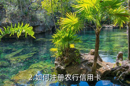 农行信用卡怎样注册，农行信用卡注册指南