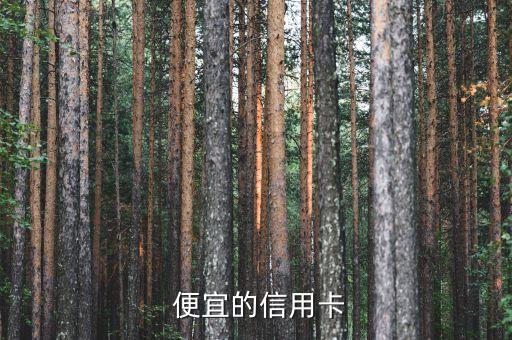 便宜的信用卡