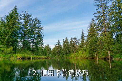 信用卡推销策略，信用卡营销技巧，如何成功推销？