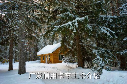 广发信用卡车主卡介绍