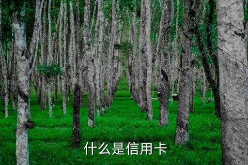 什么是信用卡