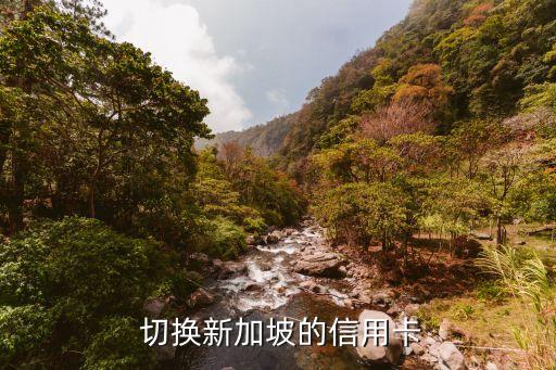 切换新加坡的信用卡