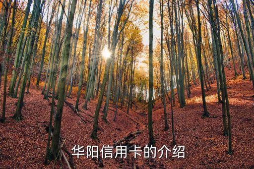 华阳信用卡的介绍
