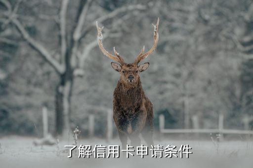 了解信用卡申请条件