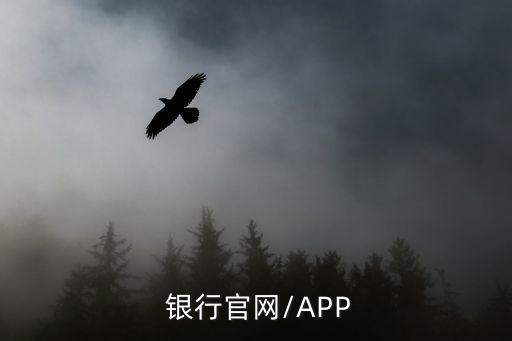 银行官网/APP