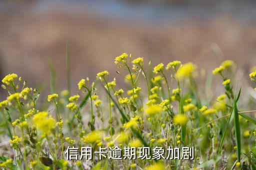 信用卡逾期现象加剧