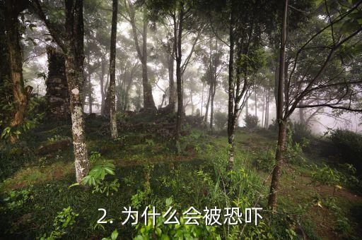 2. 为什么会被恐吓