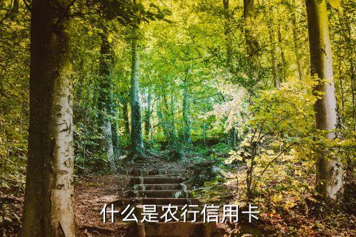 什么是农行信用卡