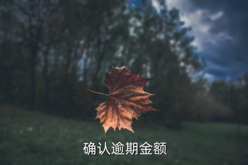 确认逾期金额