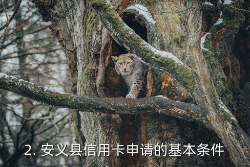 安义县信用卡办理，安义县信用卡申请攻略