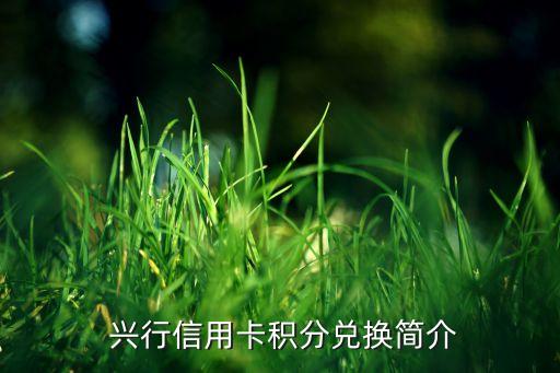 兴行信用卡积分兑换简介