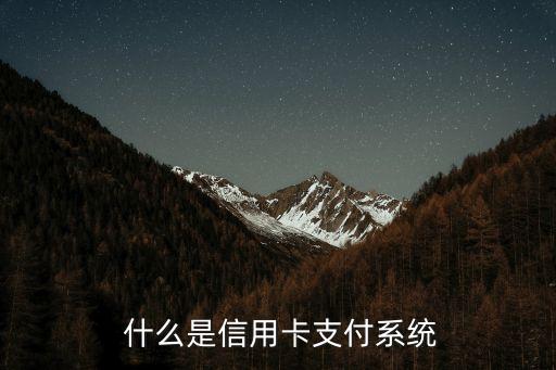 什么是信用卡支付系统