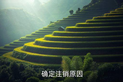 确定注销原因