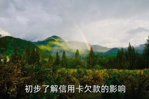 初步了解信用卡欠款的影响